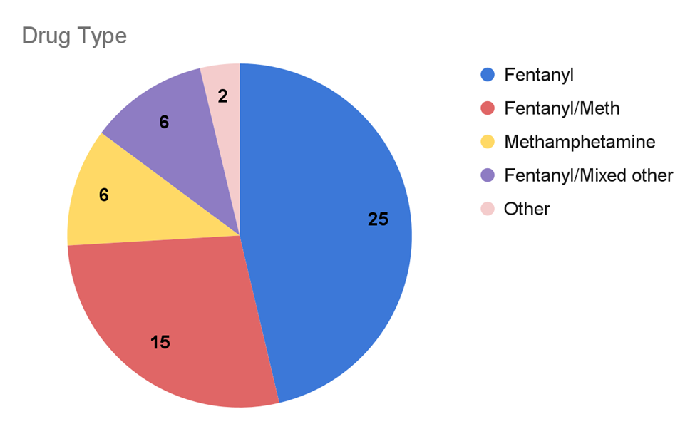 Drug Toxicity Deaths